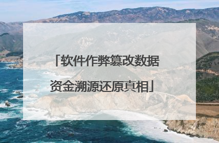 软件作弊篡改数据 资金溯源还原真相