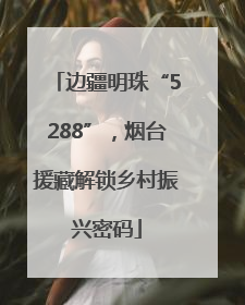 边疆明珠“5288”，烟台援藏解锁乡村振兴密码