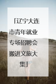辽宁大连市青年就业专场招聘会搬进文旅大集