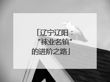 辽宁辽阳：“袜业名镇”的进阶之路