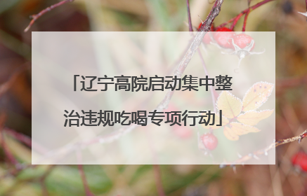 辽宁高院启动集中整治违规吃喝专项行动