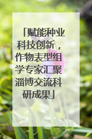 赋能种业科技创新，作物表型组学专家汇聚淄博交流科研成果