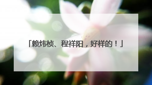 赖炜桢、程祥阳，好样的！