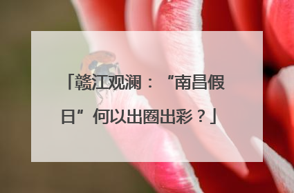 赣江观澜：“南昌假日”何以出圈出彩？