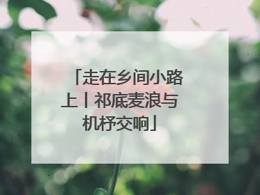 走在乡间小路上丨祁底麦浪与机杼交响
