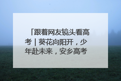 跟着网友镜头看高考｜葵花向阳开，少年赴未来，安乡高考首日的希望图景