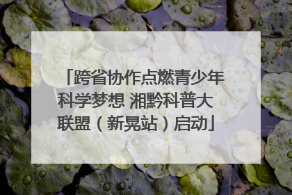 跨省协作点燃青少年科学梦想 湘黔科普大联盟（新晃站）启动
