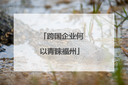 跨国企业何以青睐福州