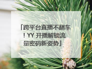 跨平台直播不翻车！YY 开播解锁流量密码新姿势