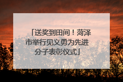 送奖到田间！菏泽市举行见义勇为先进分子表彰仪式