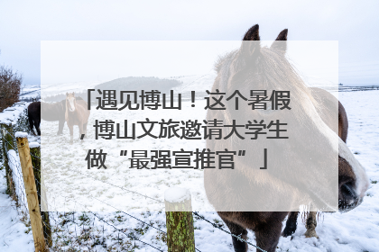 遇见博山！这个暑假，博山文旅邀请大学生做“最强宣推官”