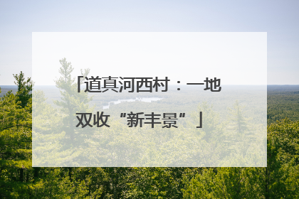 道真河西村：一地双收“新丰景”