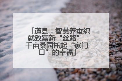 道县：智慧养蚕织就致富新“丝路” 千亩桑园托起“家门口”的幸福