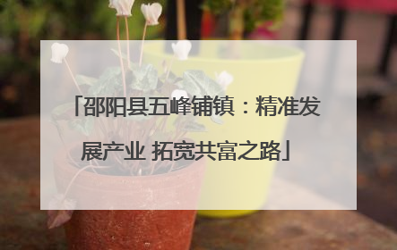 邵阳县五峰铺镇：精准发展产业 拓宽共富之路