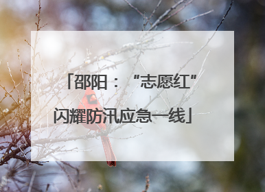 邵阳：“志愿红”闪耀防汛应急一线