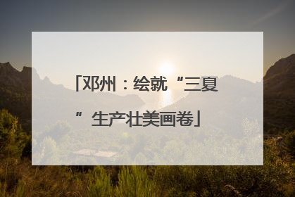 邓州：绘就“三夏”生产壮美画卷
