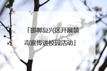 邯郸复兴区开展禁毒宣传进校园活动
