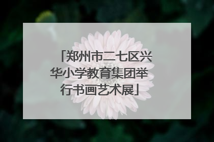 郑州市二七区兴华小学教育集团举行书画艺术展