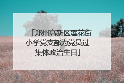 郑州高新区莲花街小学党支部为党员过集体政治生日
