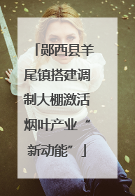 郧西县羊尾镇搭建调制大棚激活烟叶产业“新动能”