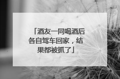 酒友一同喝酒后各自驾车回家，结果都被抓了