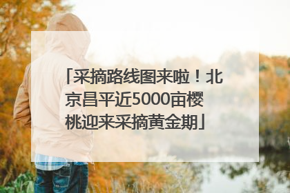 采摘路线图来啦！北京昌平近5000亩樱桃迎来采摘黄金期