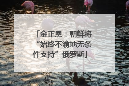 金正恩：朝鲜将“始终不渝地无条件支持”俄罗斯