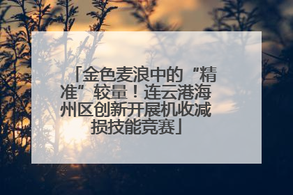 金色麦浪中的“精准”较量！连云港海州区创新开展机收减损技能竞赛