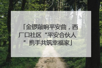 金锣敲响平安曲，西厂口社区“平安合伙人”携手共筑幸福家