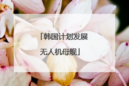 韩国计划发展无人机母舰
