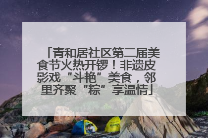 青和居社区第二届美食节火热开锣！非遗皮影戏“斗艳”美食，邻里齐聚“粽”享温情