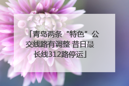 青岛两条“特色”公交线路有调整 昔日最长线312路停运