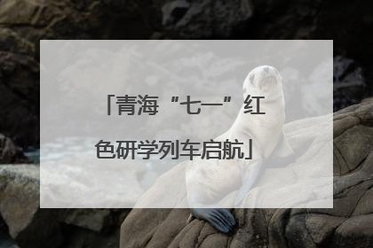 青海“七一”红色研学列车启航