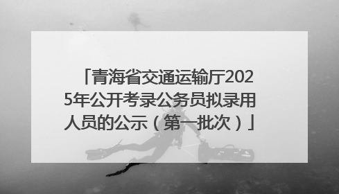 青海省交通运输厅2025年公开考录公务员拟录用人员的公示（第一批次）