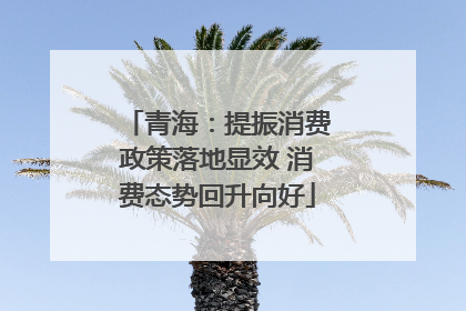 青海：提振消费政策落地显效 消费态势回升向好