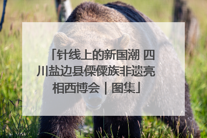 针线上的新国潮 四川盐边县傈僳族非遗亮相西博会｜图集