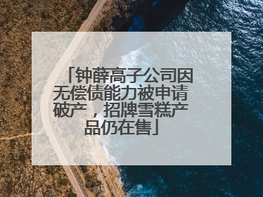 钟薛高子公司因无偿债能力被申请破产，招牌雪糕产品仍在售
