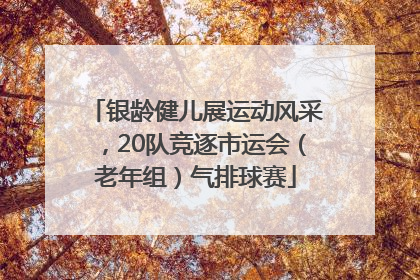 银龄健儿展运动风采，20队竞逐市运会（老年组）气排球赛