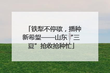 铁犁不停歇，播种新希望——山东“三夏”抢收抢种忙