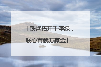 铁臂拓开千垄绿，联心育就万家金