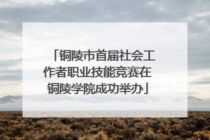 铜陵市首届社会工作者职业技能竞赛在铜陵学院成功举办