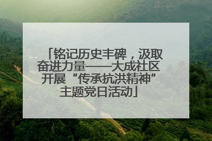 铭记历史丰碑，汲取奋进力量——大成社区开展“传承抗洪精神”主题党日活动