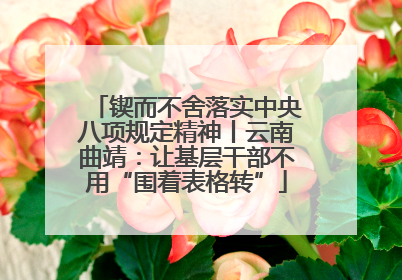 锲而不舍落实中央八项规定精神丨云南曲靖：让基层干部不用“围着表格转”