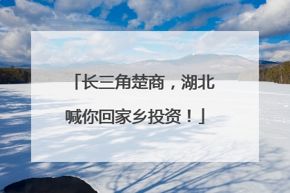 长三角楚商，湖北喊你回家乡投资！