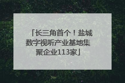 长三角首个！盐城数字视听产业基地集聚企业113家