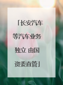 长安汽车等汽车业务独立 由国资委直管