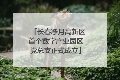 长春净月高新区首个数字产业园区党总支正式成立
