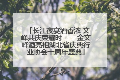 长江夜宴酒香浓 文峰共庆荣耀时——金文峰酒亮相湖北省庆典行业协会十周年盛典