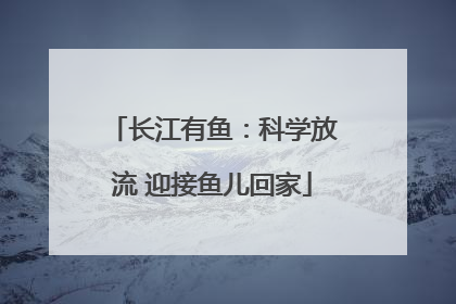 长江有鱼：科学放流 迎接鱼儿回家