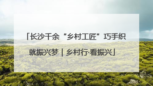 长沙千余“乡村工匠”巧手织就振兴梦｜乡村行·看振兴